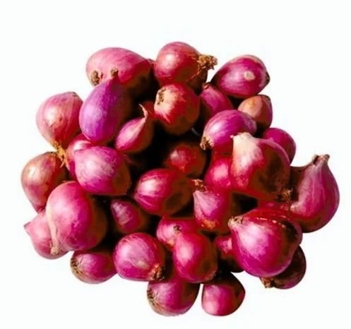 Fresh Vegetables