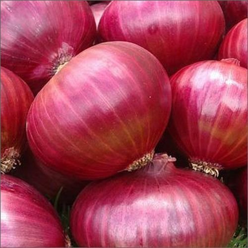 Nashik Onion