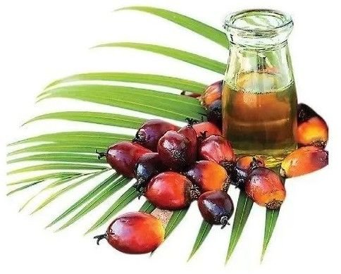 Rbd Palm Oil