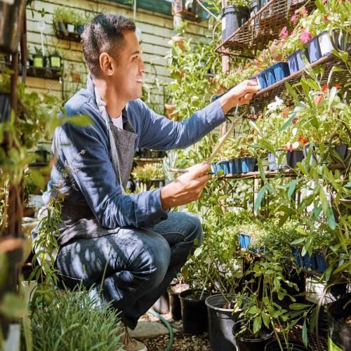 Horticulture Counselling Services Horticulture Counselling Services