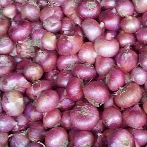 Export Quality Fresh Pink Onion Export Quality Fresh Pink Onion