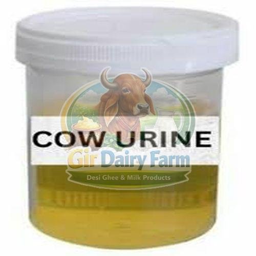 Cow Urine