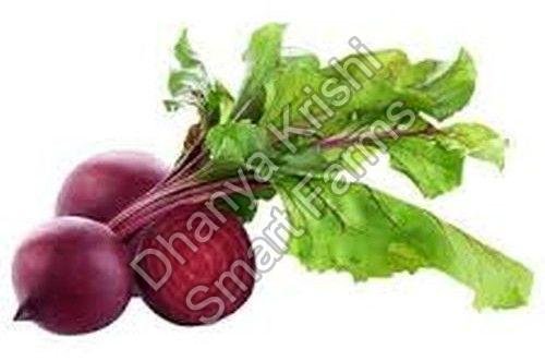 Fresh Natural Beetroot