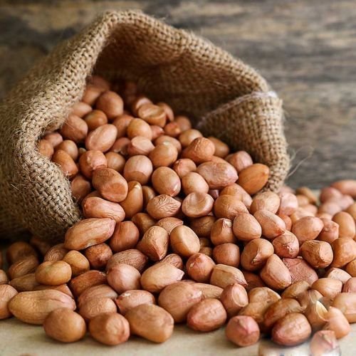 Raw Peanut Kernel