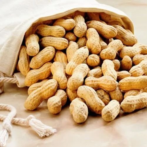 Raw Groundnut with Shell