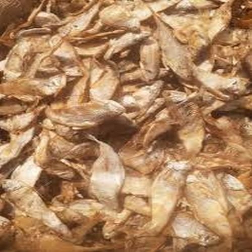 Dry Golden Anchovies Fish
