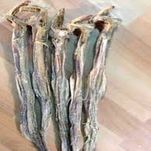 Dry Lizard Fish