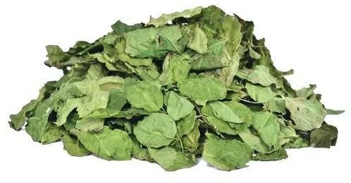 Green Dried Moringa Leaves