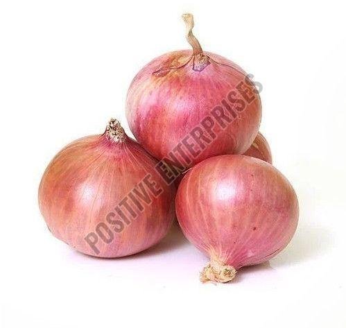 Fresh Pink Onion