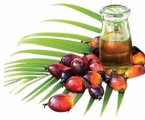 Edible Palm Oil