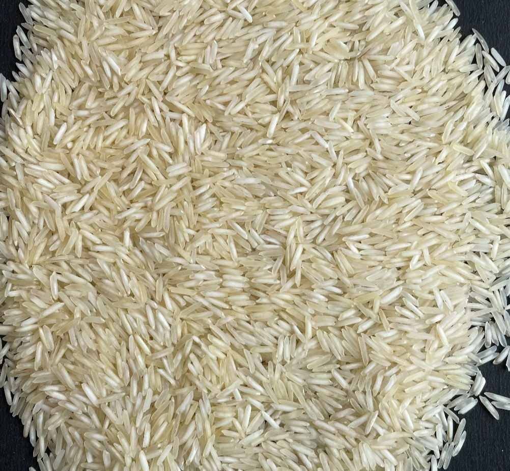 Kolam Steam Rice