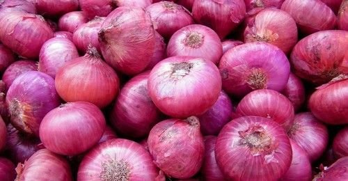 Fresh Onion