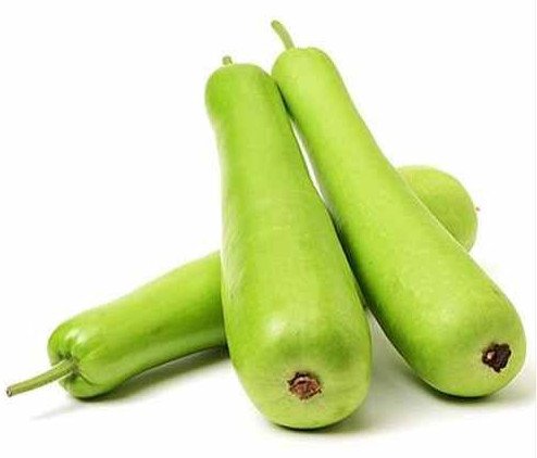 A Grade Fresh Bottle Gourd Lauki