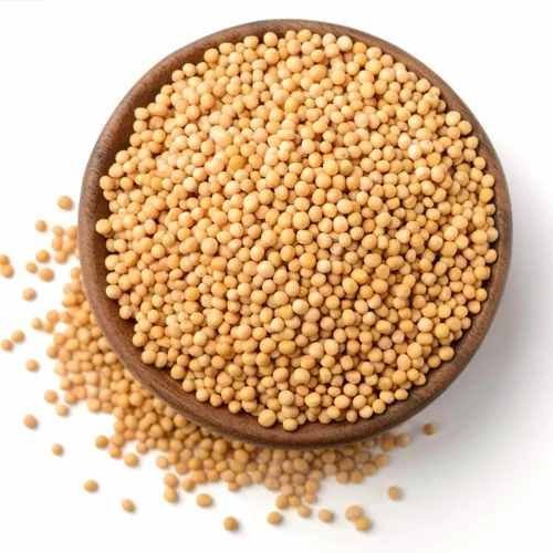 A Grade Yellow Mustard Seed