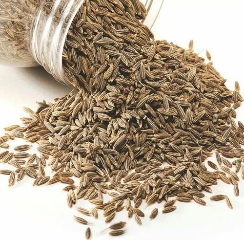 Brown Cumin Seeds Brown Cumin Seeds