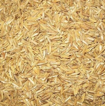 Wheat Husk