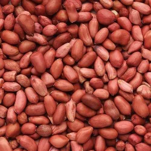 A Grade Groundnut Seed