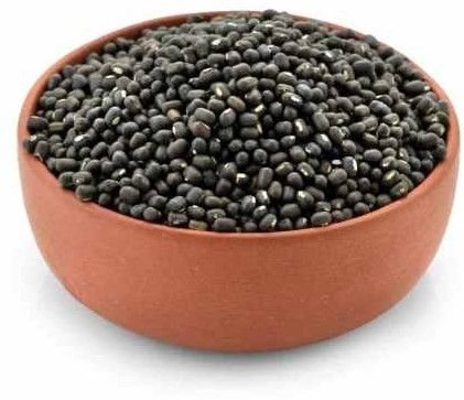 Pulses & Legumes