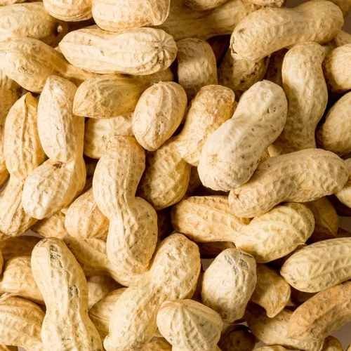 A Grade Whole Shell Peanut