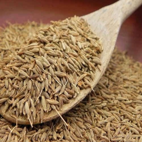 Europe Quality Cumin Seeds