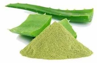 Dehydrated Aloe Vera Powder