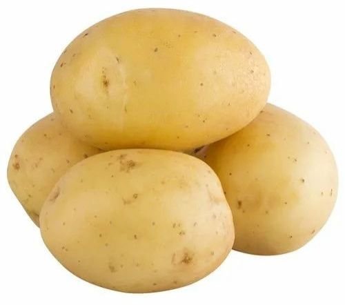 A Grade Fresh Potato