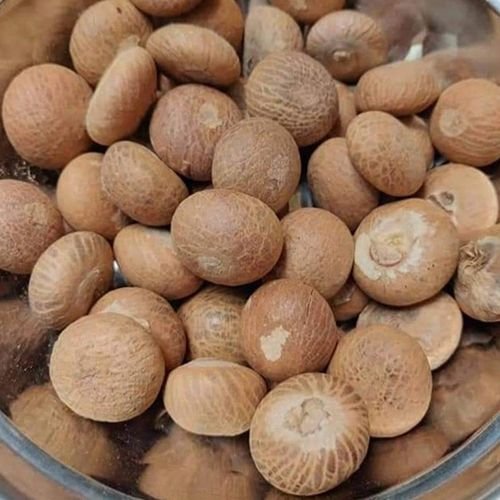 Fresh Organic Betel Nuts