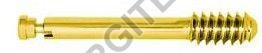 12.5mm DHS/DCS Compression Screw