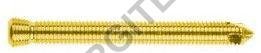 5.0mm Locking Screw