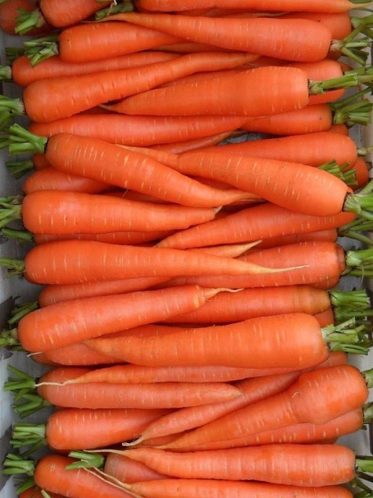 Fresh Carrot