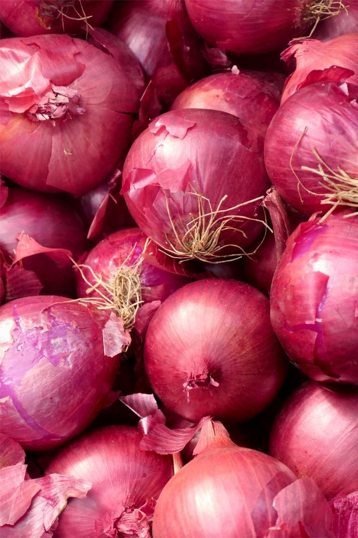 Fresh Vegetables