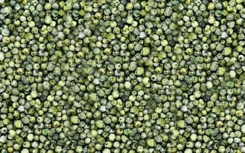 Organic Green Pepper Seeds