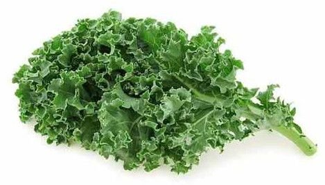 A Grade Curly Kale