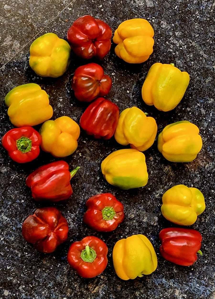 A Grade Fesh Bell Pepper