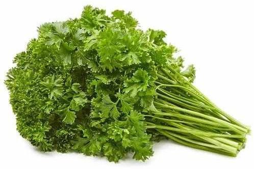 A Grade Fresh Parsley