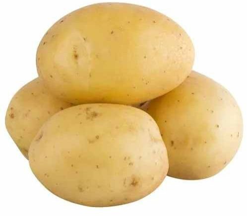 A Grade Fresh Potato