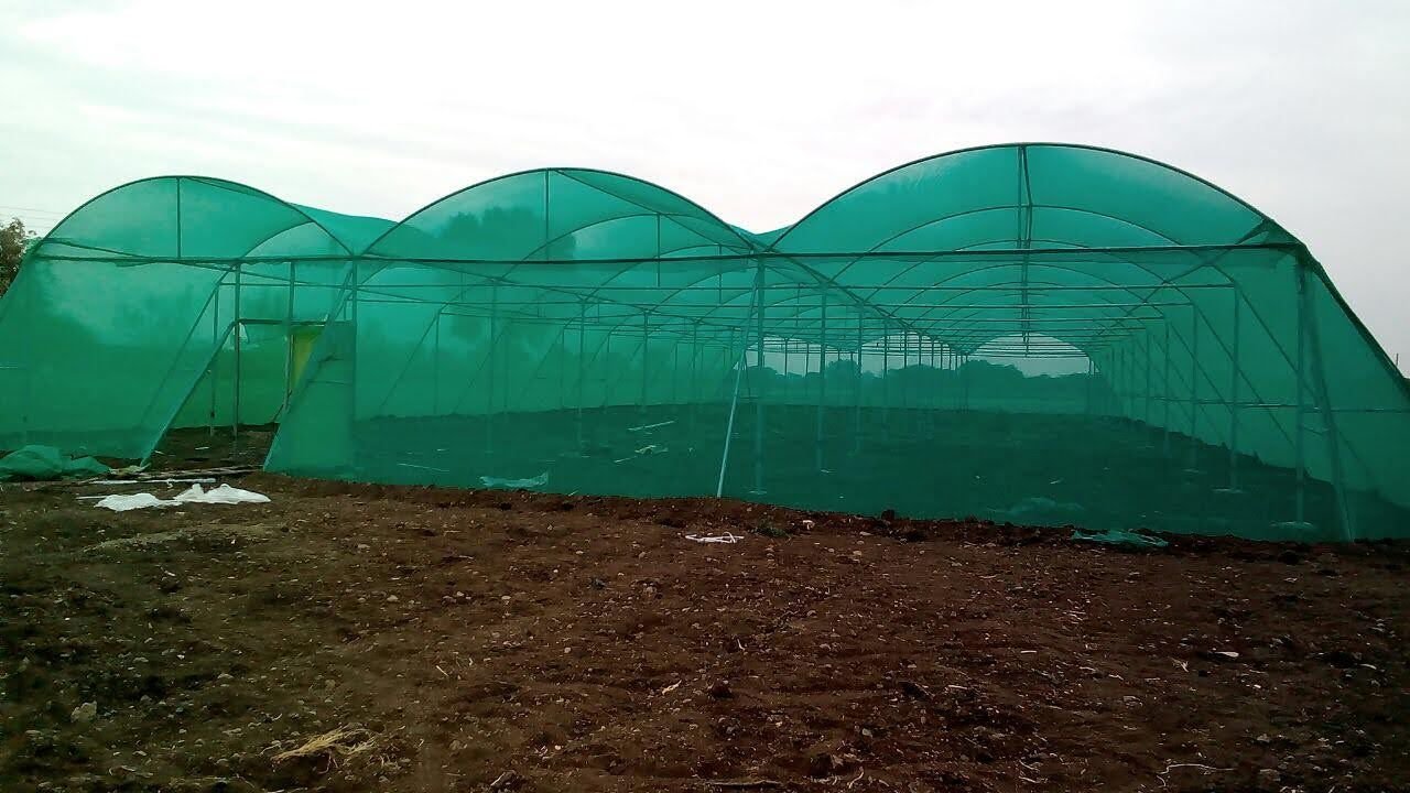 Tunnel Type Net House