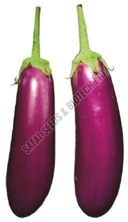 F1-Billu Brinjal Seeds F1-Billu Brinjal Seeds