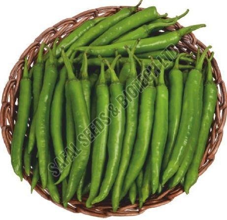 F1-Kareena Chilli Seeds F1-Kareena Chilli Seeds