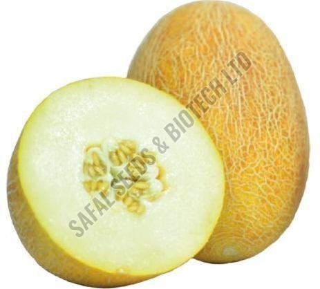 F1-SSB 111 Muskmelon Seeds F1-SSB 111 Muskmelon Seeds