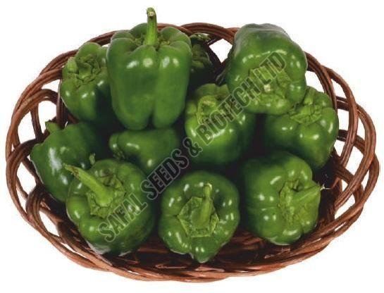 F1-SSB 241 Capsicum Seeds