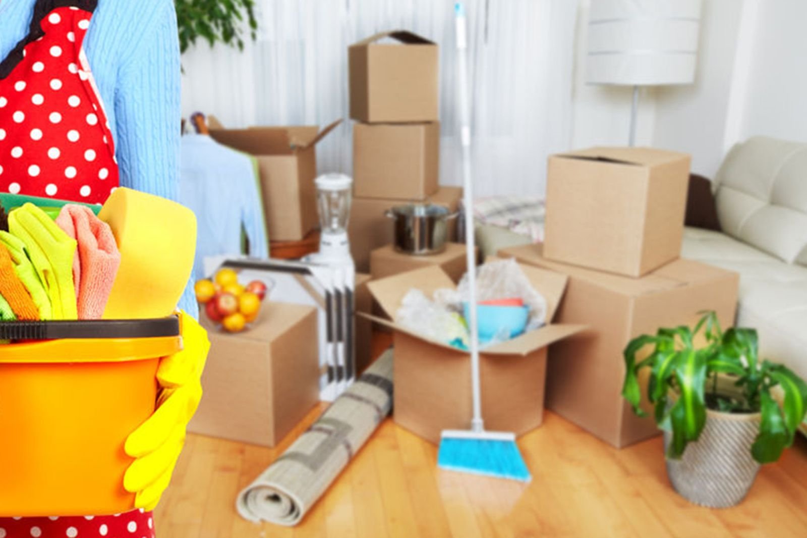 Move-In & Move-Out Cleaning Service