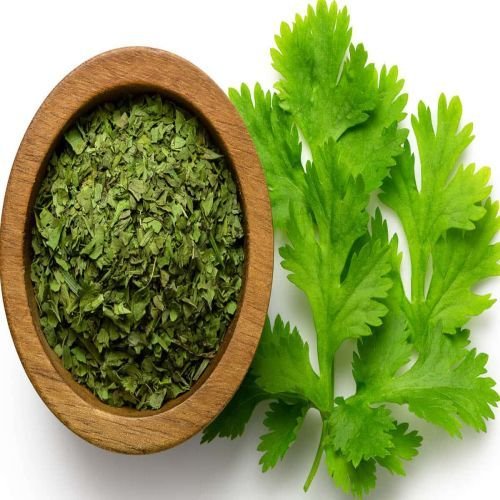 Dehydrated Coriander Leaves