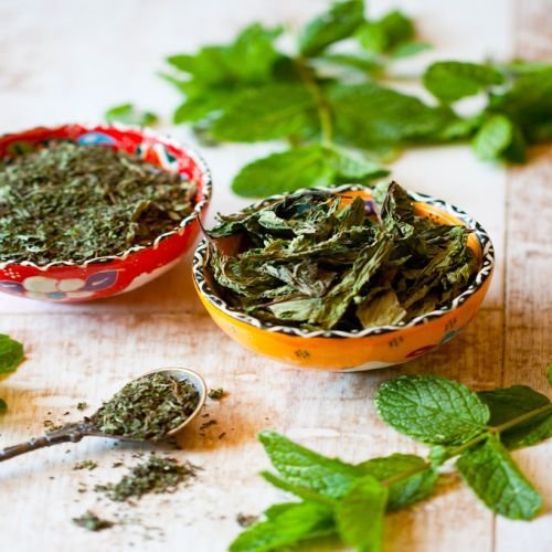 Dehydrated Mint Leaves