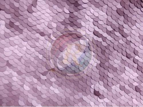 Sequence Embroidered Fabric