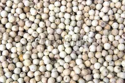 White Pepper