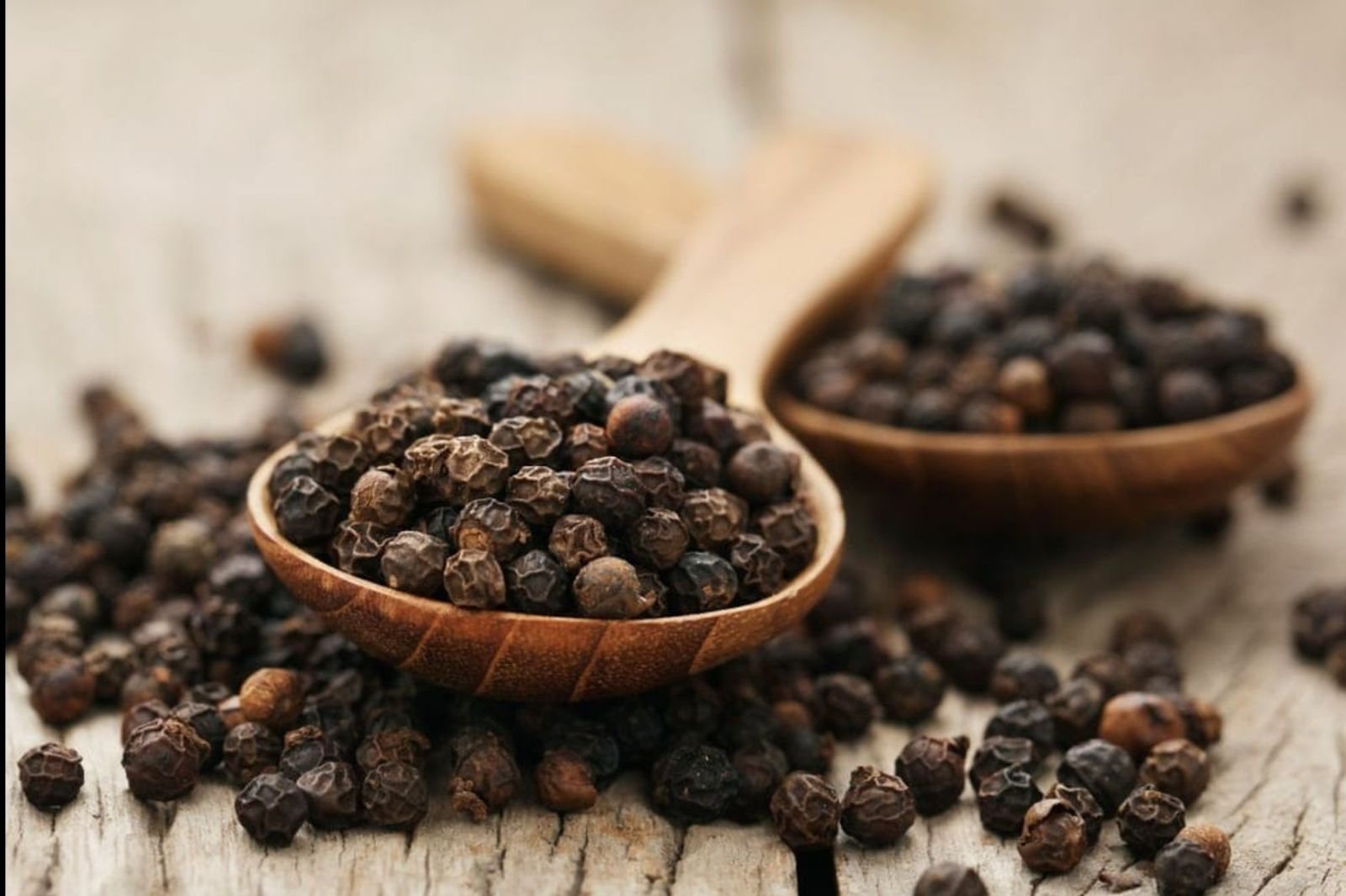 Black Pepper Seeds