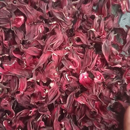 Hibiscus Flower Tea