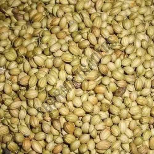 A Grade Dried Coriander Seed