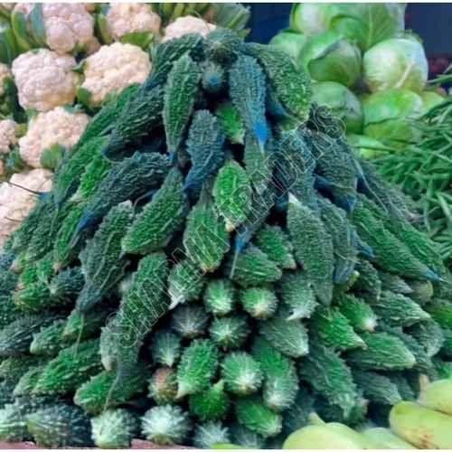 A Grade Fresh Bitter Gourd Karela